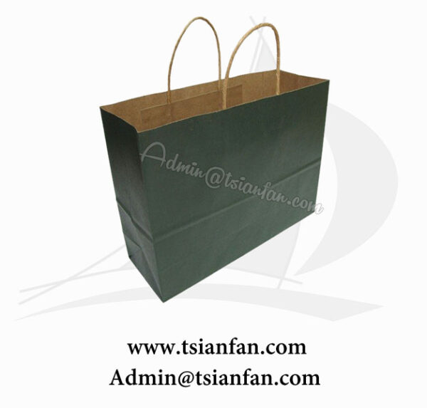 Promotional Custom Logo Printed Cheap Paper BagPG606