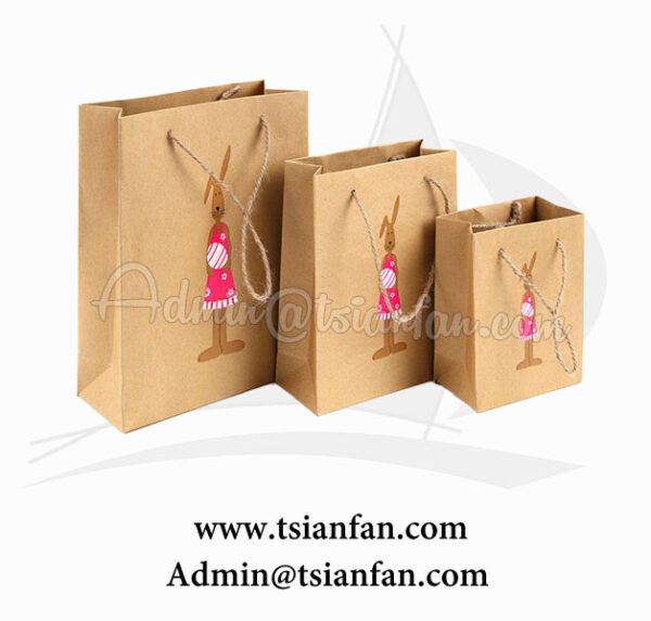 Custom LOGO Printed Cardboard/Craft Paper Bag PG605