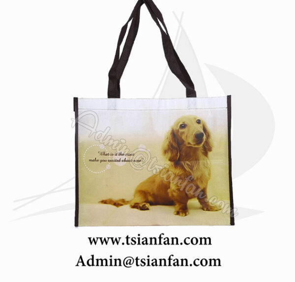 Custom Printed Logo Non-woven Tote Bags PG624