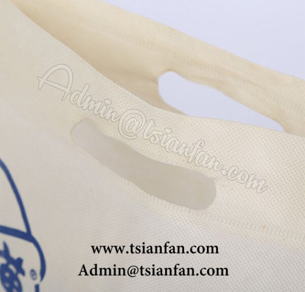 Customized Top Quality Non-woven Bag PG626