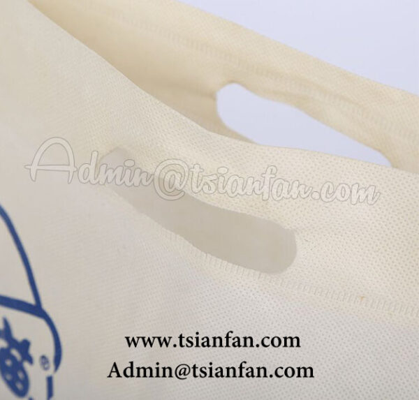 Customized Top Quality Non-woven Bag PG626