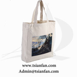 Promotional Logo Printed Wholesale Cloth Bag PG621