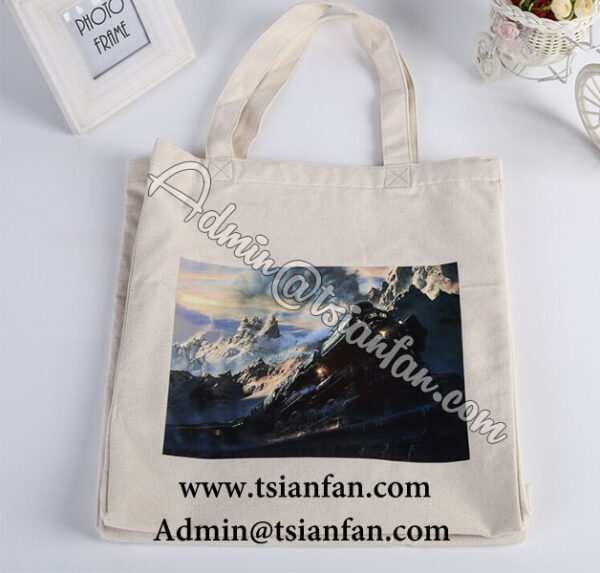 Promotional Logo Printed Wholesale Cloth Bag PG621