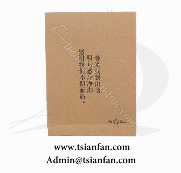 Wholesale Custom Design Printed Shopping Kraft Paper Bag PG612