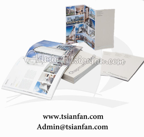 Custom Folding Leaflet Flyer Brochure Printing P611