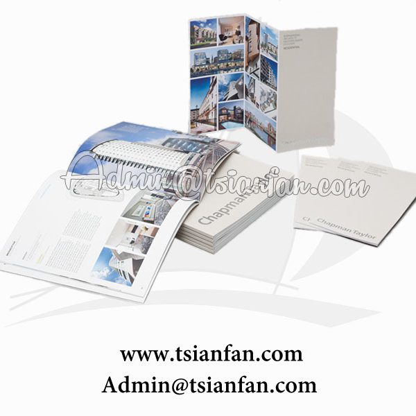 Custom Folding Leaflet Flyer Brochure Printing P611