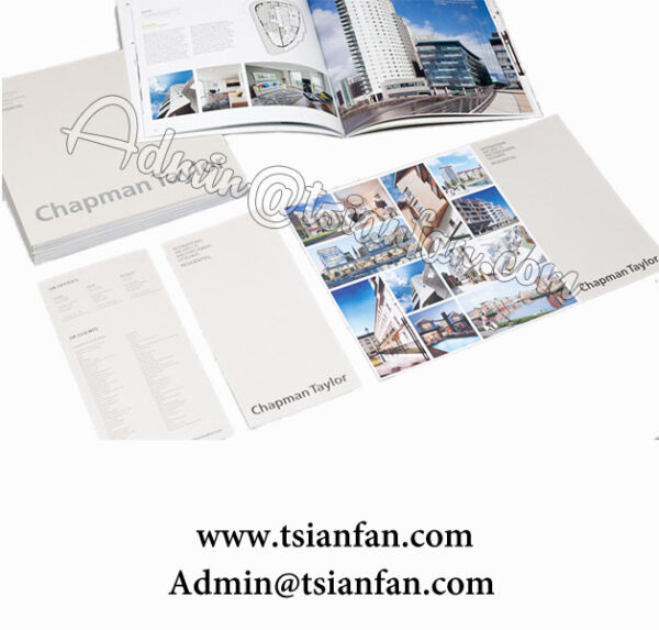 Custom Folding Leaflet Flyer Brochure Printing P611