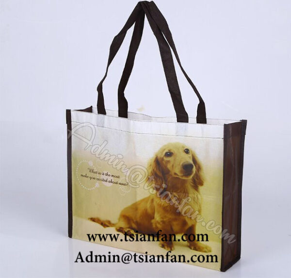 Custom Printed Logo Non-woven Tote Bags PG624