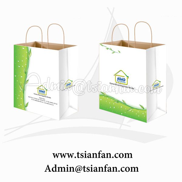 Low Cost Custom Kraft Paper Bag with Logo Print PG617 Chinese