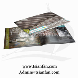 Customized Brochure Printing for Advertising P612