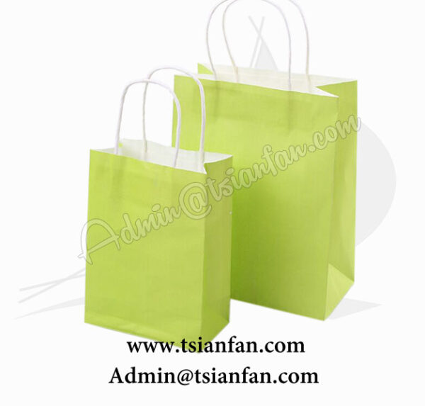 Disposable Decorative Paper Bags, Paper Bags For Gifts PG616